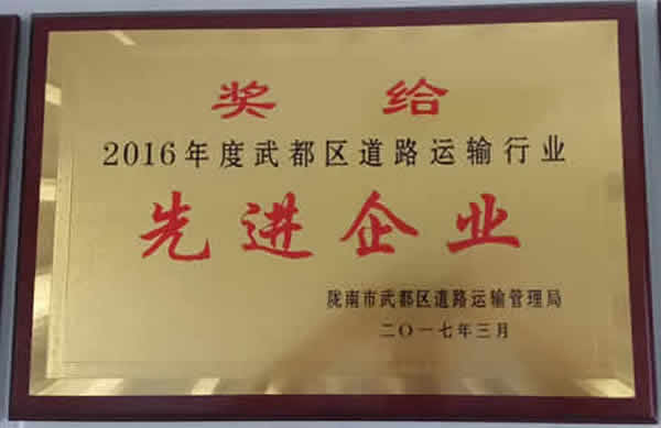 2016年度武都區(qū)道路運輸行業(yè)先進企業(yè)